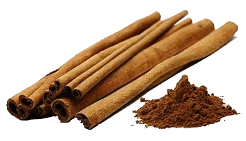 etchem-Cinnamon bark extracts- Supercritical Carbon Dioxide Extraction (SCFE-CO2)