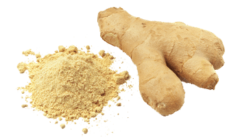 etchem-Ginger extracts- Supercritical Carbon Dioxide Extraction (SCFE-CO2)