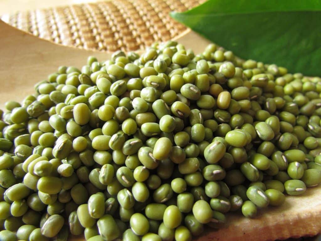 mung beans protein manufacturer,mung bean powder, mung beans nutrition facts,carbs in mung beans, mung beans health benefits, mung beans calories,Supplier,wholesaler,China,Mung bean protein powder manufacturer supplier china wholesale raw material etchem,www.et-chem.com,et-chem.com,etchem,et pharchem,plant protein,vegan protein,functional peptide, herbal extracts, natural ingredient,botanical ingredient,company, supplier,distributor,wholesale,manufacturer,producer,best,unique,innovative,scfe co2,uk,usa,Canada,Europe,france,germany,Italy,spain,brazil,mexico,uae,middle east,asia,china,solvent free,food grade,trending,health,food,beauty,cosmetics,natural,love,recipes,recipe