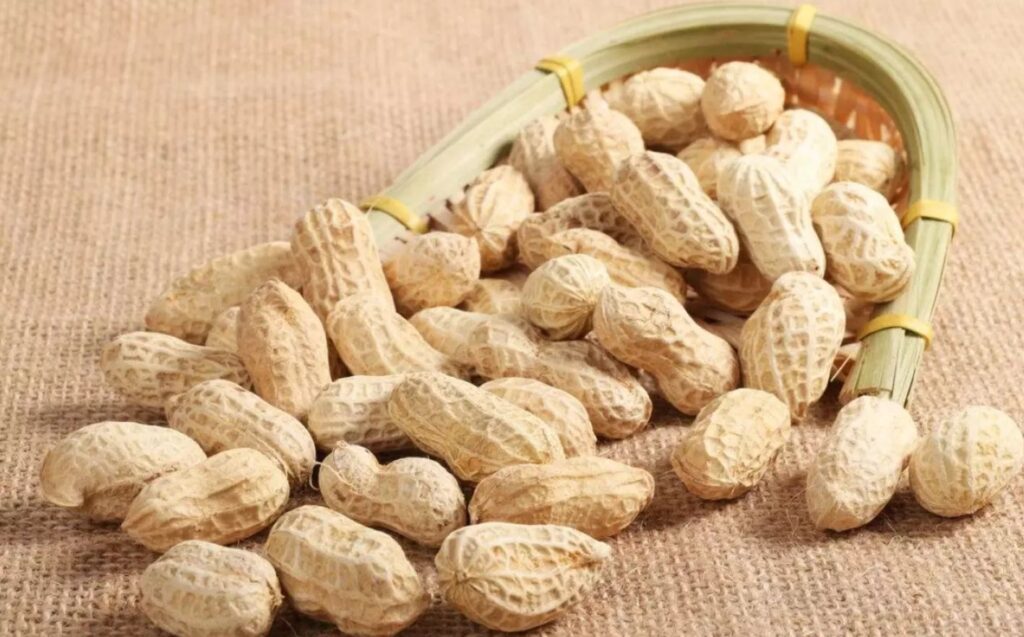 peanut protein powder, peanut protein content, peanut protein manufacturer, peanut protein supplier, peanut protein wholesaler, peanut protein bulk sale,Peanut protein powder manufacturer supplier china wholesale raw material,www.et-chem.com,et-chem.com,etchem,et pharchem,plant protein,vegan protein,functional peptide, herbal extracts, natural ingredient,botanical ingredient,company, supplier,distributor,wholesale,manufacturer,producer,best,unique,innovative,scfe co2,uk,usa,Canada,Europe,france,germany,Italy,spain,brazil,mexico,uae,middle east,asia,china,solvent free,food grade,trending,health,food,beauty,cosmetics,natural,love,recipes,recipe