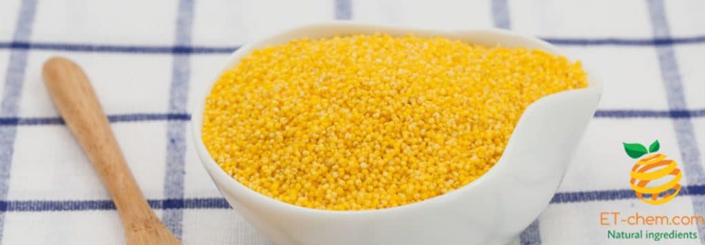 millet extract manufacturer millet powder supplier, millet seed extract factory, millet extract wholesaler, millet nutrition, yellow millet, Panicum miliaceum powder