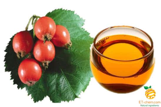 Rosehip oil manufacturer,rosehip essential oil supplier,rosehip oil for face wholesaler, rosehip oil for skin factory, rosehip oil for hair distributor, best rosehip oil rose hips benefits uses, best rosehip oil, rosehip oil uses, essential oils, tea tree oil, rosehip oil, rosehip, rosehip oil for face, organic rosehip oil, rosehip oil for skin, rosehip oil benefits, best rosehip oil, best rosehip oil for face, rosehip oil uses, rosehip oil acne, trilogy rosehip oil, radha rosehip oil, rose oil for face, rosehip oil for hair, rose hips benefits, rose oil benefits, rose oil, how to use rosehip oil, rosehip oil before and after, what are rose hips, the ordinary rosehip oil, Etchem,et chem,