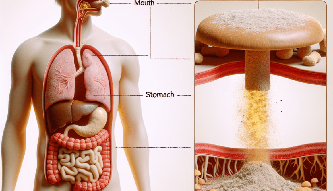 Does the body absorb mushroom powder?